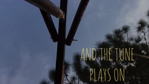 Thumbnail for Alan Garcia - And the Tune Plays On