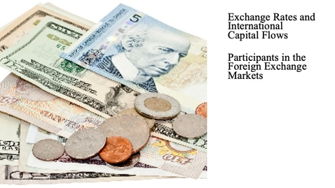 Thumbnail for entry Exchange Rates and International Capital Flows - Participants in the Foreign Exchange Markets