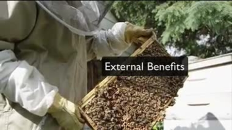 Thumbnail for External Benefits