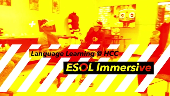  Immersive ESOL Project: 2 Years Later