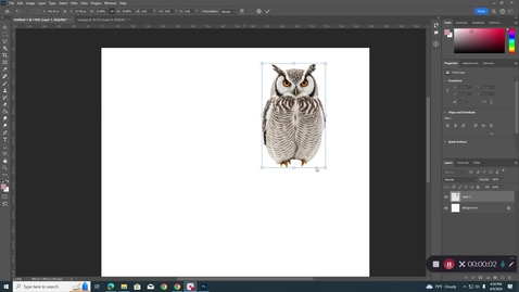 Thumbnail for Changing color
