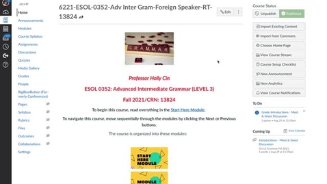 Thumbnail for entry Introduction to L3 Grammar Online Anytime, part one