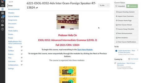 Thumbnail for Introduction to L3 Grammar Online Anytime, part one