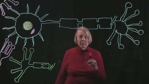 Thumbnail for How the Neuron works