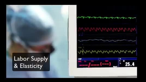 Thumbnail for Labor Supply Elasticity
