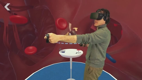 Thumbnail for The Stanford Virtual Heart  Now Available in Virtual Reality Lab &amp; Studio