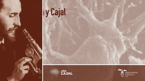 Miniatura para EXTRACTOS. JORNADAS CONMEMORATIVAS DE LA FACULTAD DE MEDICINA SOBRE RAMÓN Y CAJAL