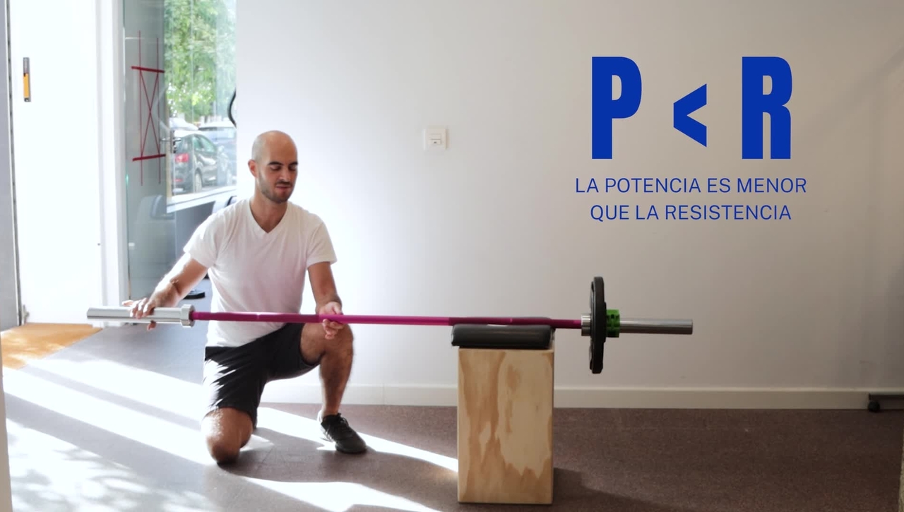 SISTEMA DE PALANCAS EN EL CUERPO HUMANO