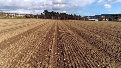 Miniatura para LA INTERPRETACIÓN DE ANÁLISIS EN AGRONOMÍA. ANÁLISIS DE SUELO (PARTE 1)