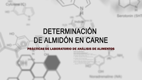 Miniatura para PRÁCTICAS DE LABORATORIO DE ANÁLISIS DE ALIMENTOS: DETERMINACIÓN DE ALMIDÓN EN CARNE