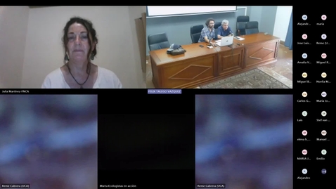 Miniatura para Jornadas: El Estuario del Guadalquivir frente a los vertidos mineros (2)