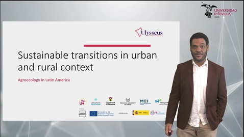 Miniatura para SUSTAINABLE TRANSITIONS IN RURAL AND URBAN CONTEXT. AGROECOLOGY IN LATIN AMERICA
