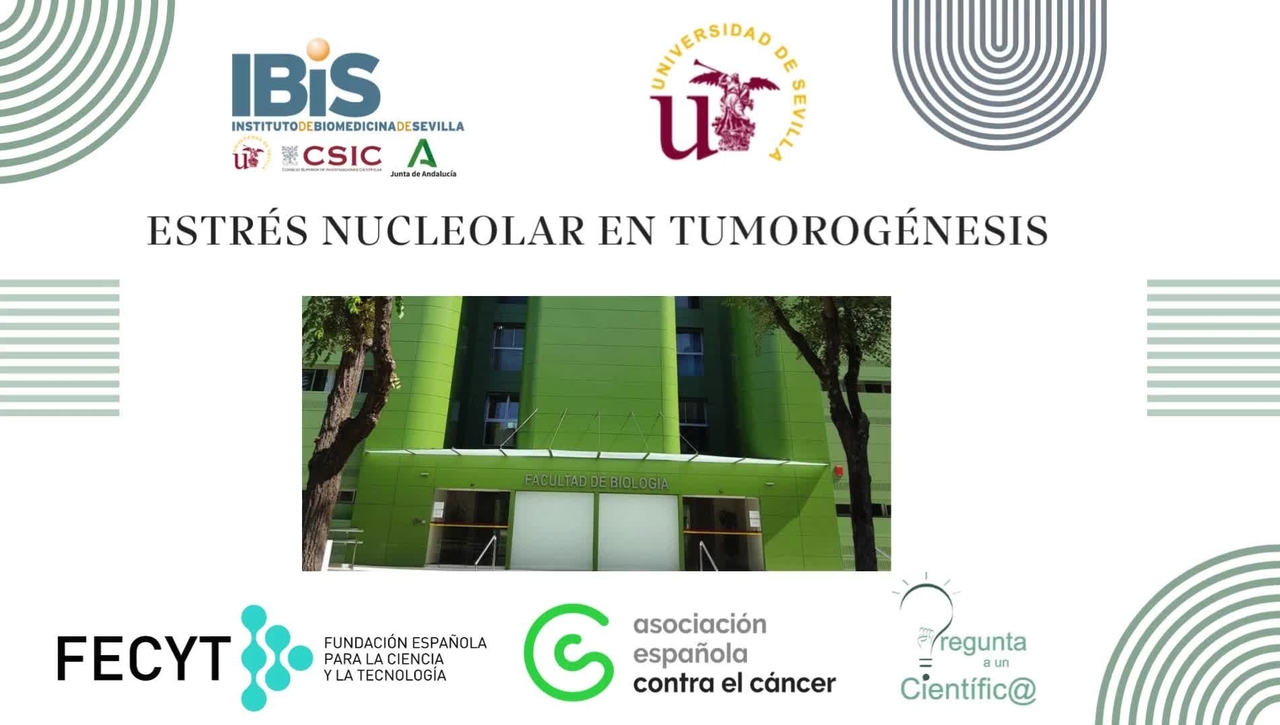 PREGUNTA A UN CIENTIFIC@. ESTRÉS NUCLEOLAR EN CÁNCER