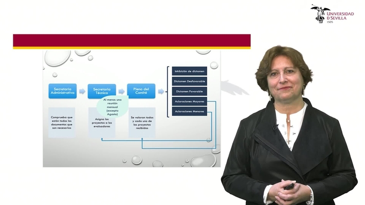 VIDEO TUTORIAL PARA CUMPLIMENTAR UNA SOLICITUD DEL COMITÉ DE ÉTICA DE LA INVESTIGACIÓN DE LA UNIVERSIDAD SEVILLA