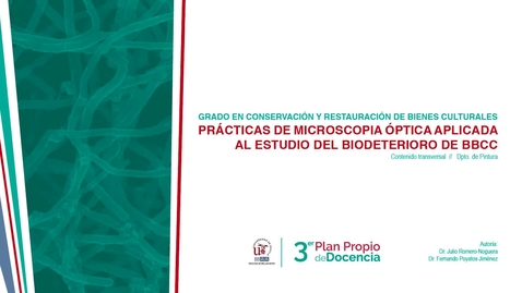 Miniatura para PRÁCTICAS DE MICROSCOPÍA ÓPTICA APLICADA AL ESTUDIO DEL BIODETERIORO DE BBCC