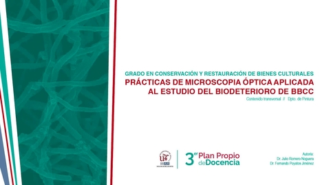 Miniatura para la entrada PRÁCTICAS DE MICROSCOPÍA ÓPTICA APLICADA AL ESTUDIO DEL BIODETERIORO DE BBCC