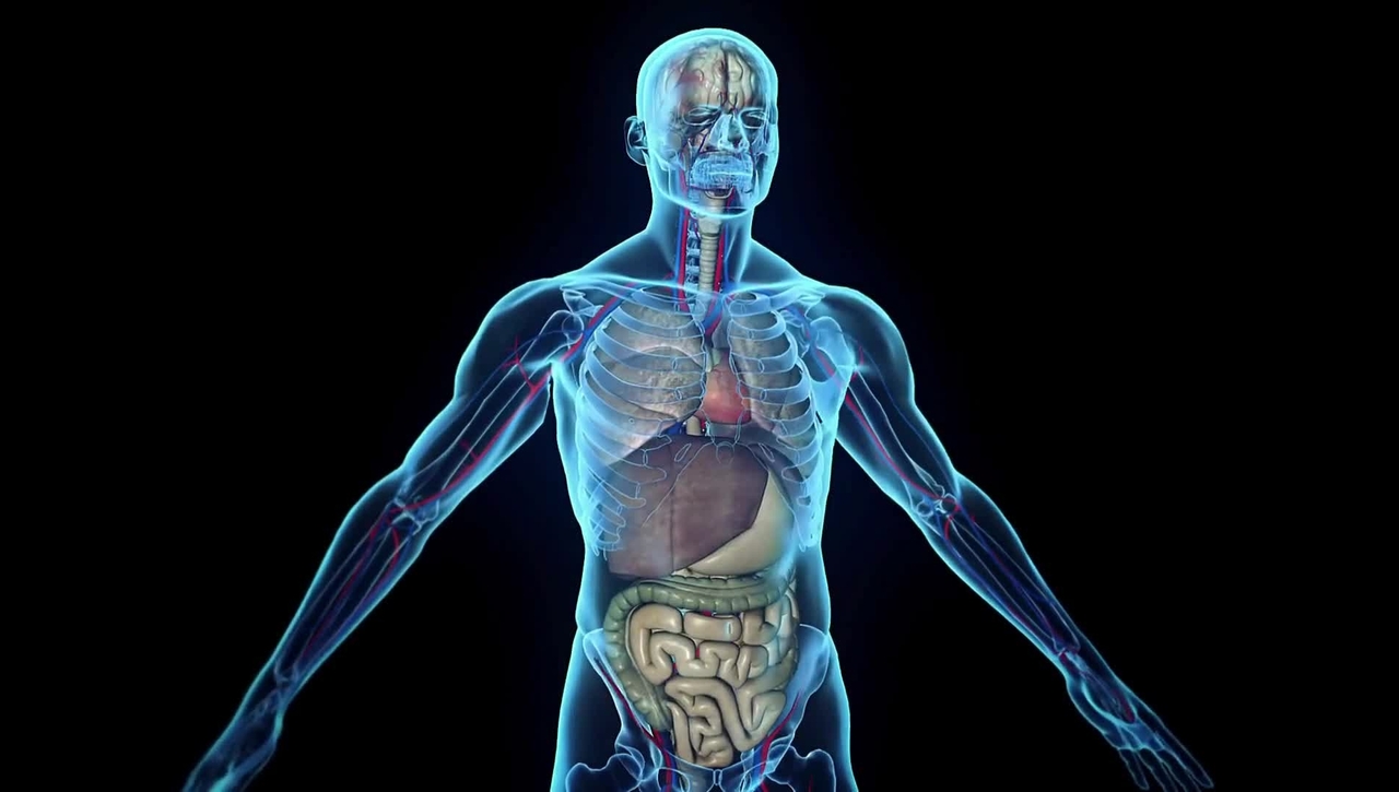 INVISIBLES PERO PODEROSOS: EL UNIVERSO MICROBIOTA