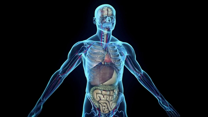 INVISIBLES PERO PODEROSOS: EL UNIVERSO MICROBIOTA