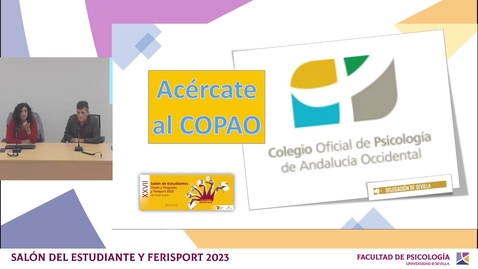 Miniatura para la entrada Colegio Oficial de Psicologia de Andalucía Occidental (COPAO)