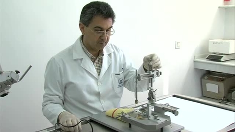 Miniatura para TÉCNICAS BÁSICAS EN EL LABORATORIO DE NEUROCIENCIA I. CIRUGÍA ESTEREOTÁXICA.