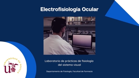 Miniatura para la entrada LABORATORIO DE PRÁCTICAS DE FISIOLOGÍA DEL SISTEMA VISUAL: ELECTROFISIOLOGÍA OCULAR