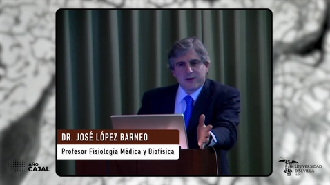 Miniatura para CONFERENCIA DEL DR. JOSÉ LÓPEZ BARNEO. JORNADAS CONMEMORATIVAS DE LA FACULTAD DE MEDICINA SOBRE RAMÓN Y CAJAL