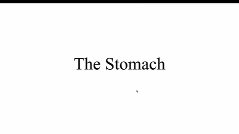 Thumbnail for Teach-Back Extra Credit- The Stomach 
