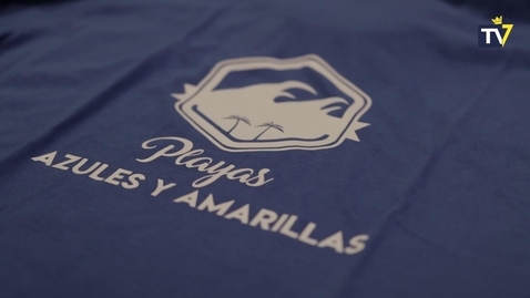 Miniatura para Fundación pone en marcha la III Campaña 'Playas Azules y Amarillas'