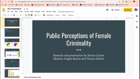 Thumbnail for Public Perceptions of Female Identity
