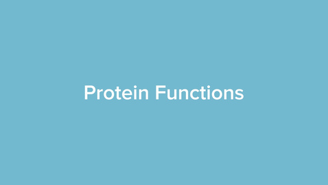 Thumbnail for Protein Functions