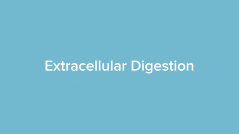 Thumbnail for Extracellular Digestion