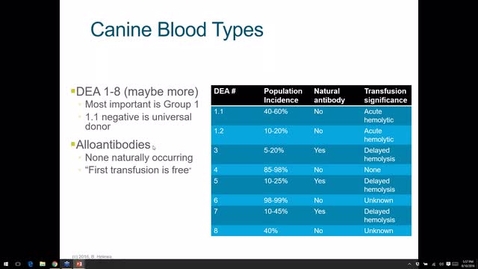 Thumbnail for Adrenaline Rush! Webinar - Emergency Critical Care for Vet Techs: Transfusion Medicine
