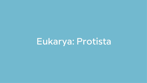 Thumbnail for Eukarya: Protista
