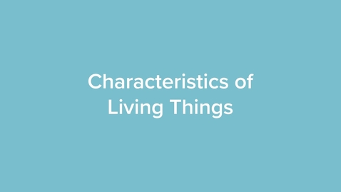 Thumbnail for Characteristics of Living Things