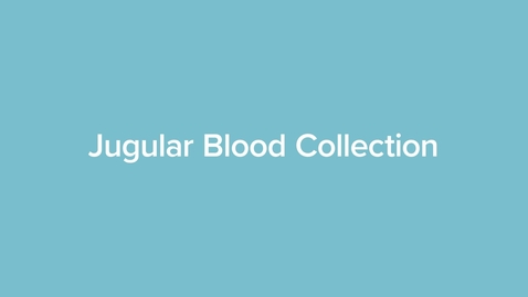 Thumbnail for Jugular Blood Collection