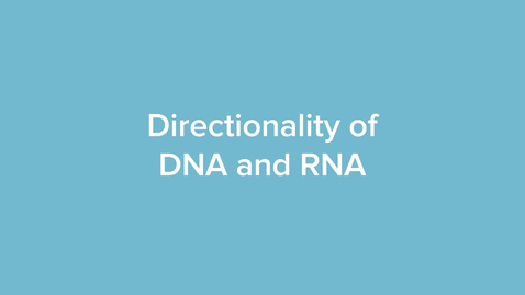 Thumbnail for Directionality of DNA and RNA