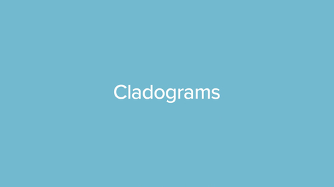 Thumbnail for Cladograms