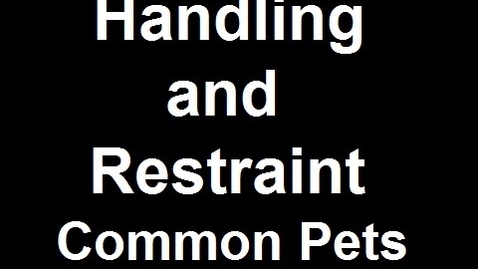 Thumbnail for Introduction