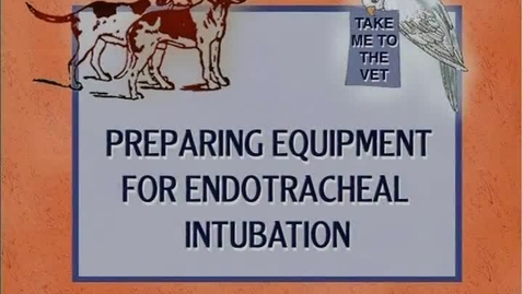 Thumbnail for Prep for Endotracheal Intubation