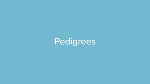 Thumbnail for Pedigrees