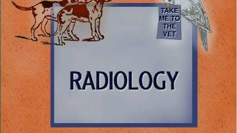 Thumbnail for Radiology Practice: Overview