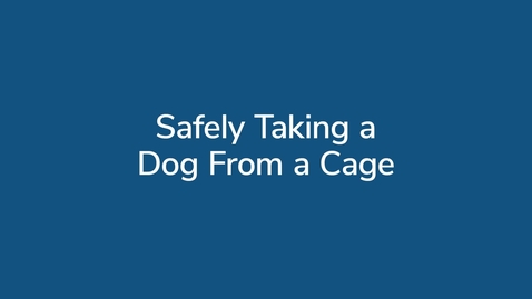 Thumbnail for Safely Taking a Dog from a Cage