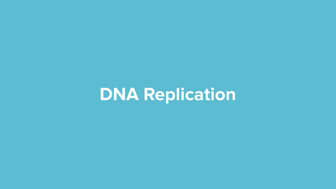 Thumbnail for DNA Replication