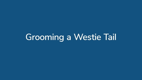 Thumbnail for Grooming a Westie Tail
