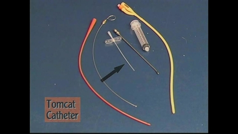 Thumbnail for Small Animal Nursing 12 Urinary Catheterization