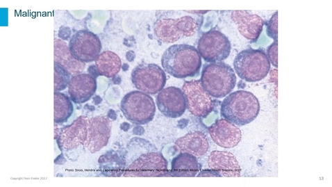 Thumbnail for Cytology Sample Evaluation Part 3