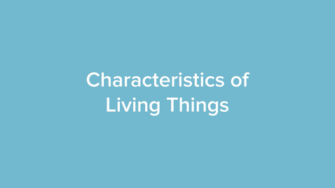 Thumbnail for Characteristics of Living Things
