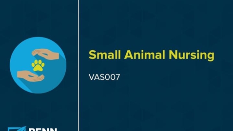 Thumbnail for Small Animal Nursing 01 Introduction