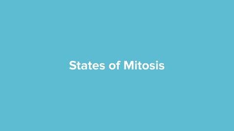 Thumbnail for States of Mitosis