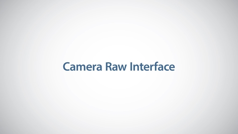 Thumbnail for QY43A Camera RAW Interface